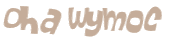 Captcha 챌린지