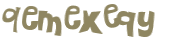 CAPTCHA 挑戰