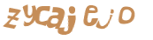 Wyzwanie captcha