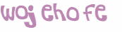 CAPTCHA 挑戰