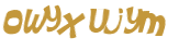 Wyzwanie captcha