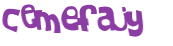 CAPTCHA 挑戰