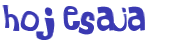 Captcha 챌린지