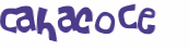 Captcha 챌린지