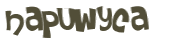 Captcha 챌린지