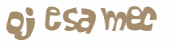 Captcha-Test