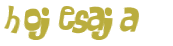 Sfida captcha