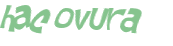 Captcha 챌린지
