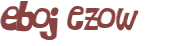 Wyzwanie captcha