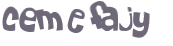 CAPTCHA 挑戰