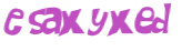 CAPTCHA 挑戰