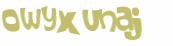 CAPTCHA 挑戰