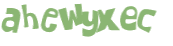 CAPTCHA 挑戰