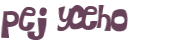 Desafio Captcha