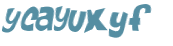 CAPTCHA 挑戰