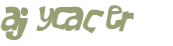 CAPTCHA 挑戰