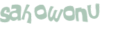 Sfida captcha