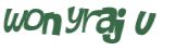 CAPTCHA 挑戰