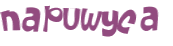 CAPTCHA 挑戰