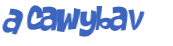 CAPTCHA 挑戰