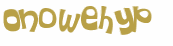 CAPTCHA 挑戰