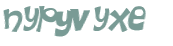 CAPTCHA 挑戰
