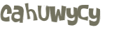 Captcha 챌린지