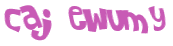 CAPTCHA 挑戰
