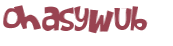 Captcha 챌린지