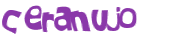 CAPTCHA 挑戰