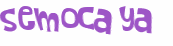 Captchafråga