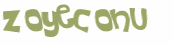 Captcha 챌린지