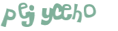 Desafio captcha