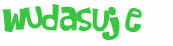 Wyzwanie captcha