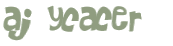Captcha-Test