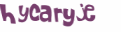 Wyzwanie captcha