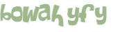 Captcha 챌린지