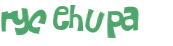 Captcha 챌린지