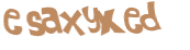Captchafråga