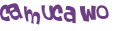 Captchafråga