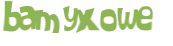 CAPTCHA 挑戰