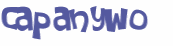 Wyzwanie captcha