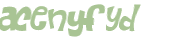 CAPTCHA 挑戰