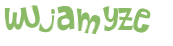 CAPTCHA 挑戰