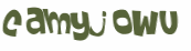 Desafio captcha