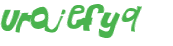 Captcha 챌린지