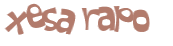 Captcha-Test