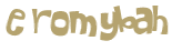 CAPTCHA 挑戰