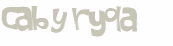 Desafio captcha