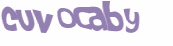 CAPTCHA 挑戰